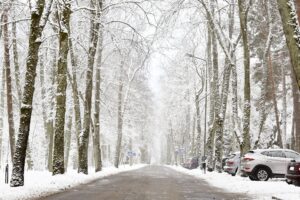 圧雪路とは？その危険性を理解しよう