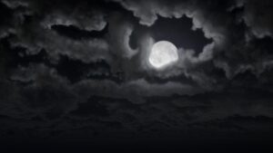 夜間運転で必ず実践したいシカ事故防止策